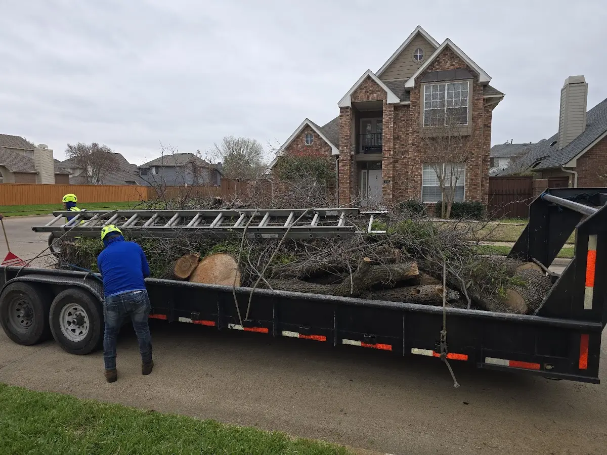 Expert Tree Fertilization with proper safety equipment in Rice